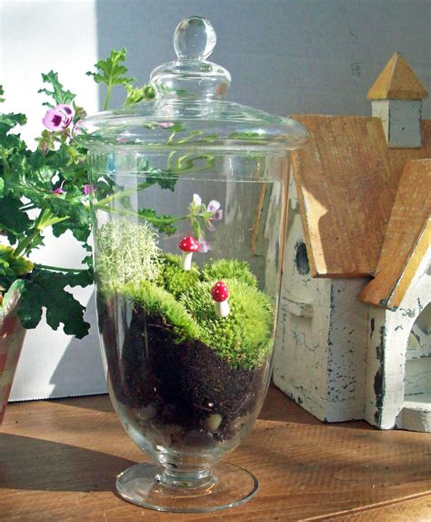 Apothecary Jar Terrarium No