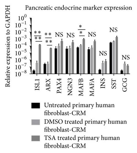 Trichostatin A Tsa Treatment Of Primary Adult Fibroblasts Induces