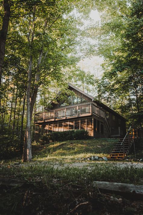 Brown Wooden House Surrounded By Green Trees · Free Stock Photo