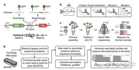 盘点 2022年direct Rna测序高分文章 知乎
