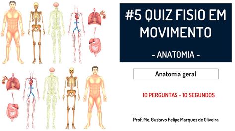 5 QUIZ ANATOMIA DOS SISTEMAS DO CORPO HUMANO Estudar Para Prova De