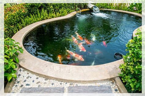 Koi Pond How To Build One Al Ardh Alkhadra