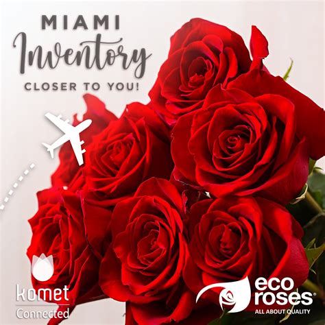 Ecoroses Access Our Best Selection Of Ecuadorian Roses