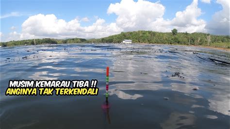 Awalnya Gak Yakinmancing Nila Liar Nyobok Di Waduk Riam Kanan Saat