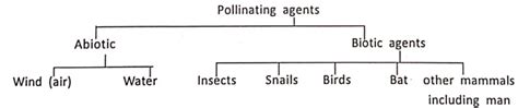 Wbbse Notes For Class General Science And Environment Chapter