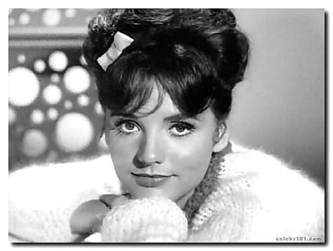 Dawn Wells Mary Ann Summers Porn Pictures Xxx Photos Sex Images Pictoa