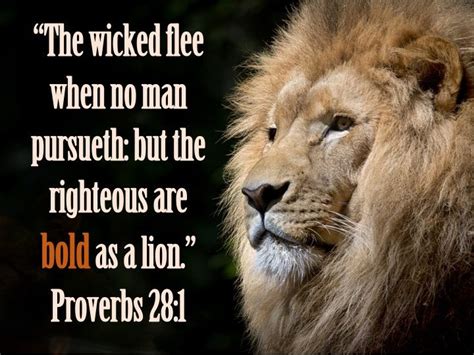 Proverbs 281 Kjv Bible Verses Kjv King James Bible Verses Bible