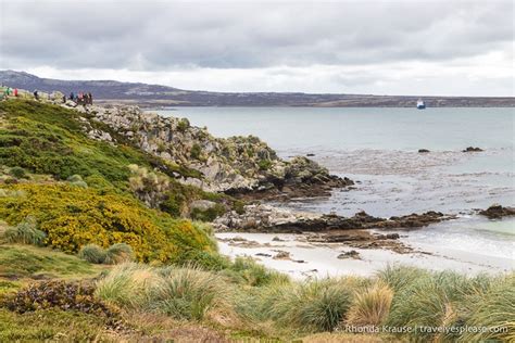 Things to Do in Stanley- One Day in the Falkland Islands