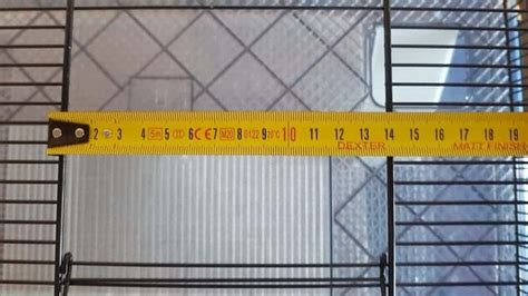 Ferplast Favola Cage Review [TRIED & TESTED] - The Pet Savvy