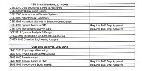 Undergraduate Programs | Biomedical Engineering