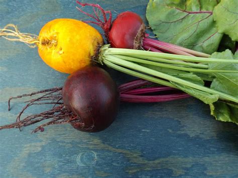 Beet Varieties To Grow In Your Garden Hgtv