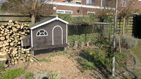 Kippenhok Maken Stappenplan Bouwtekening En Uitleg Diy