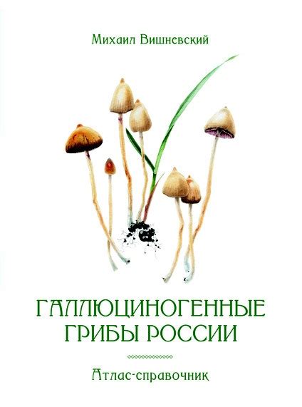 Михаил Вишневский «Галлюциногенные грибы России» - ВСЕ СВОБОДНЫ