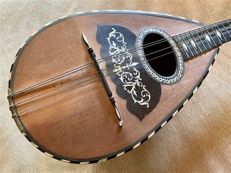 Vinaccia Neapolitan Mandolin Mandolin Italy 1903 Catawiki