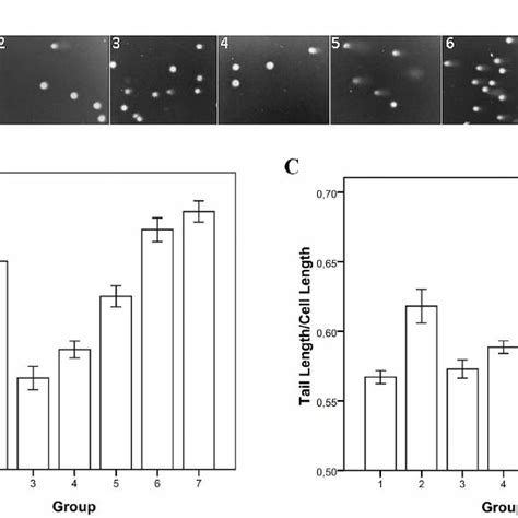 The Level Of Damage To DNA In Peripheral Blood Mononuclear Cells A