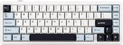 EPOMAKER X Aula F65 65 Wireless Mechanical Keyboard Hot Swappable