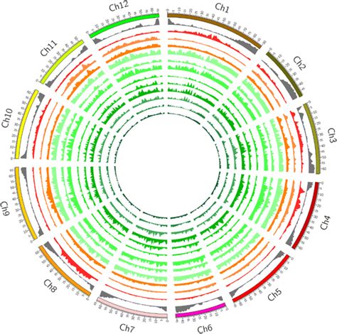 Genome Wide Sequence Variations Between Wild And Cultivated Tomato