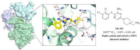 Structure Based Design Synthesis And Biological Evaluation Of