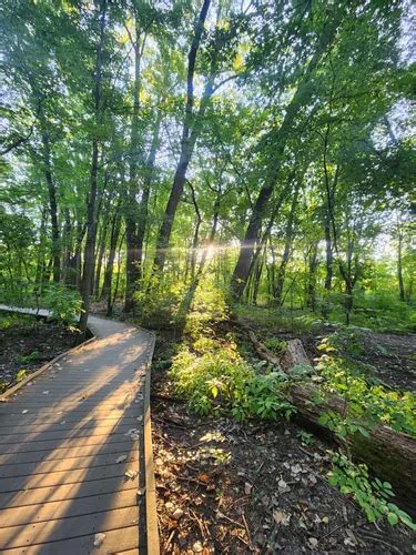 2023 Best Wild Flowers Trails In Fishers Alltrails