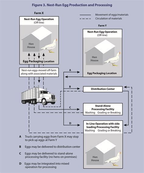 Us Poultry Industry Manual In Line Eggs The Poultry Site