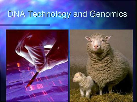 Ppt Dna Technology And Genomics Powerpoint Presentation Free