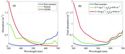 The Characteristics Of The Absorption Coefficient In The Water A