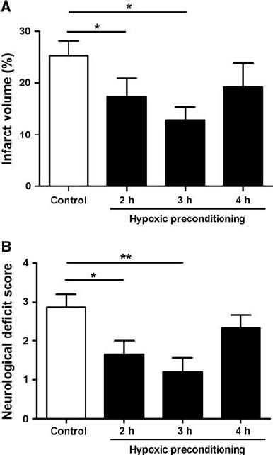 Effect Of Hypoxic Preconditioning Hpc 8 O 2 On Transient