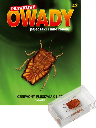 Prawdziwe Owady Paj Czaki I Inne Robaki Tom Kultowy Pl