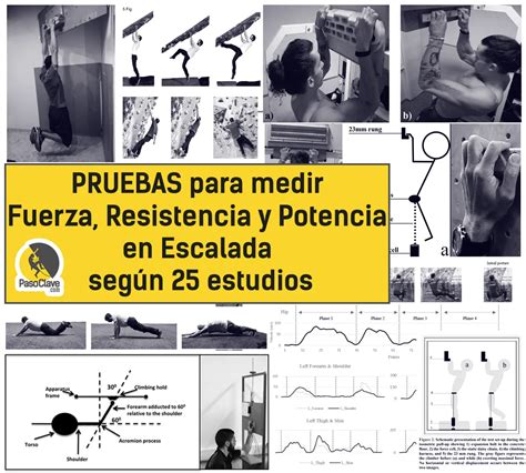 Pruebas Para Medir Fuerza Resistencia Y Potencia En Escalada Seg N