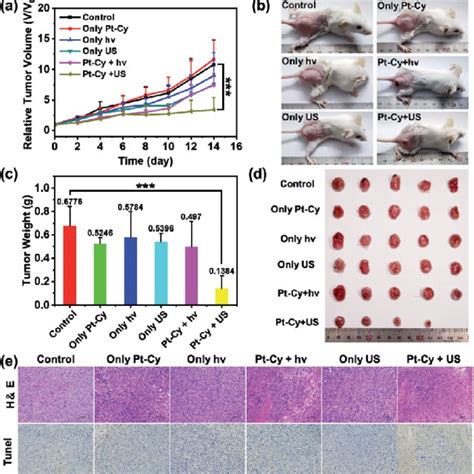 In Vivo Sonodynamic Therapy A T Tumor Growth Curves Of Mice After