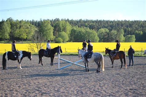 Nytt Avtal Klart För Ridlärare Och Hästskötare Ridsport