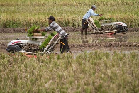 Teknologi Pertanian Masa Kini Teknologi Mania