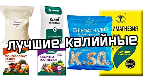 Обязательно сохраните! Все виды калийных удобрений когда и под что ...