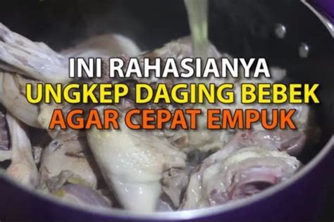 Cara Mudah Memasak Daging Bebek Agar Cepat Empuk Dan Tak Bau Amis Tips