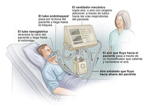 O Que E Como Funciona Um Ventilador Mec Nico