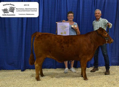 Expo Photos - American Dexter Cattle Association