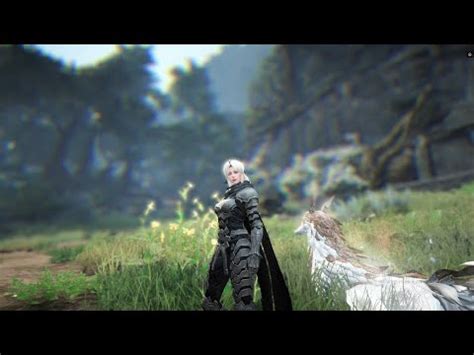 BDO SUCC MAEGU PVE ADDONS ARTIFACTS CRYSTAL BUILD YouTube