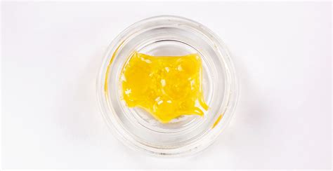 How To Store Cannabis Concentrates Rosin Hash And Shatter Holi Concentrates