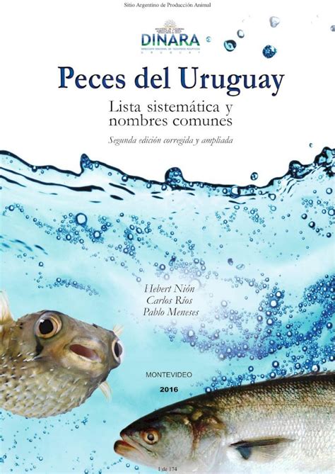 Pdf Gh El Sitio De La Producci N Bovina De Carne Peces Del