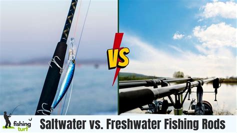 Saltwater vs. Freshwater Fishing Rods: Key Differences