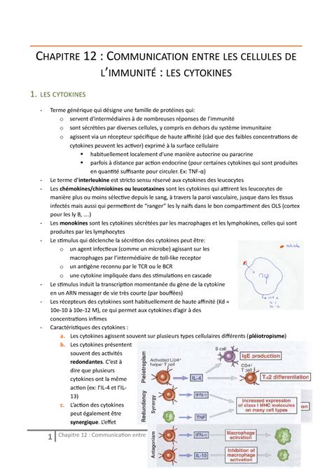 Immuno Chapitre Chapitre Communication Entre Les Cellules De