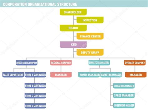 Corporation: organizational structure — Stock Vector © PhotoEstelar ...
