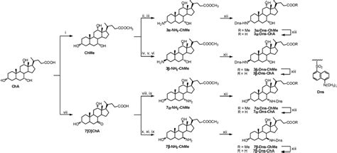 Scheme 1 Reagents And Conditions I Meoh Hcl Dmp Ii Ag 2 Co 3