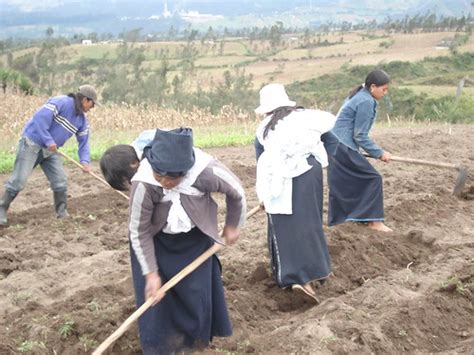 Triunfo histórico FAO de América Latina y el Caribe iniciará debate en torno a la Soberanía