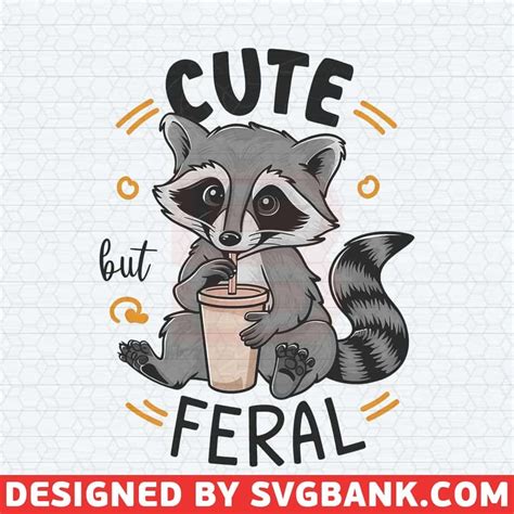 Funny Raccoon Cute But Feral Drinking PNG