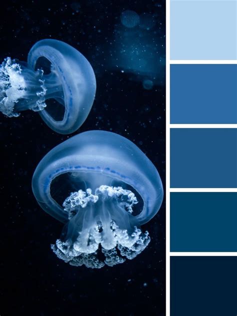 Blue Color Palette In Ocean Color Palette Color Palette Design