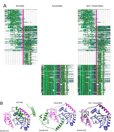 Pdf Improved Prediction Of Protein Protein Interactions Using Alphafold2 And Extended Multiple