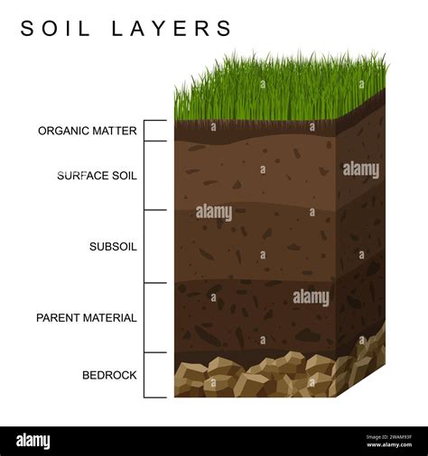 Soil layers earth cross section sand Cut Out Stock Images & Pictures ...