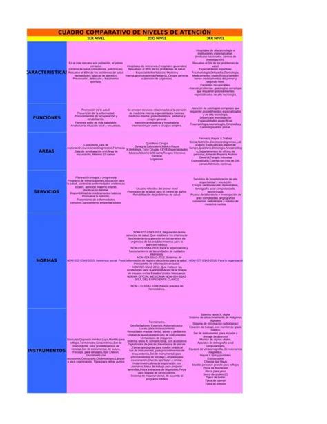 Cuadro Comparativo Niveles De Salud JESUS ALBERTO AYALA FLORES UDocz