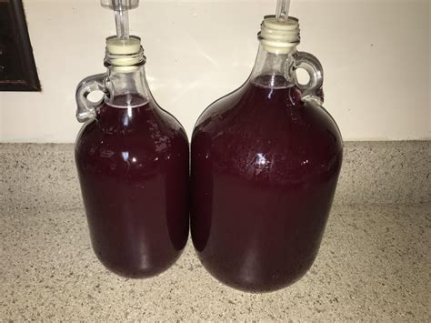 Racked My Blueberry Vanilla Wine Today To Secondary R Winemaking